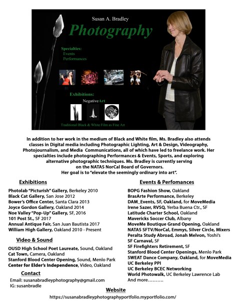 Susan A Bradley About My Work